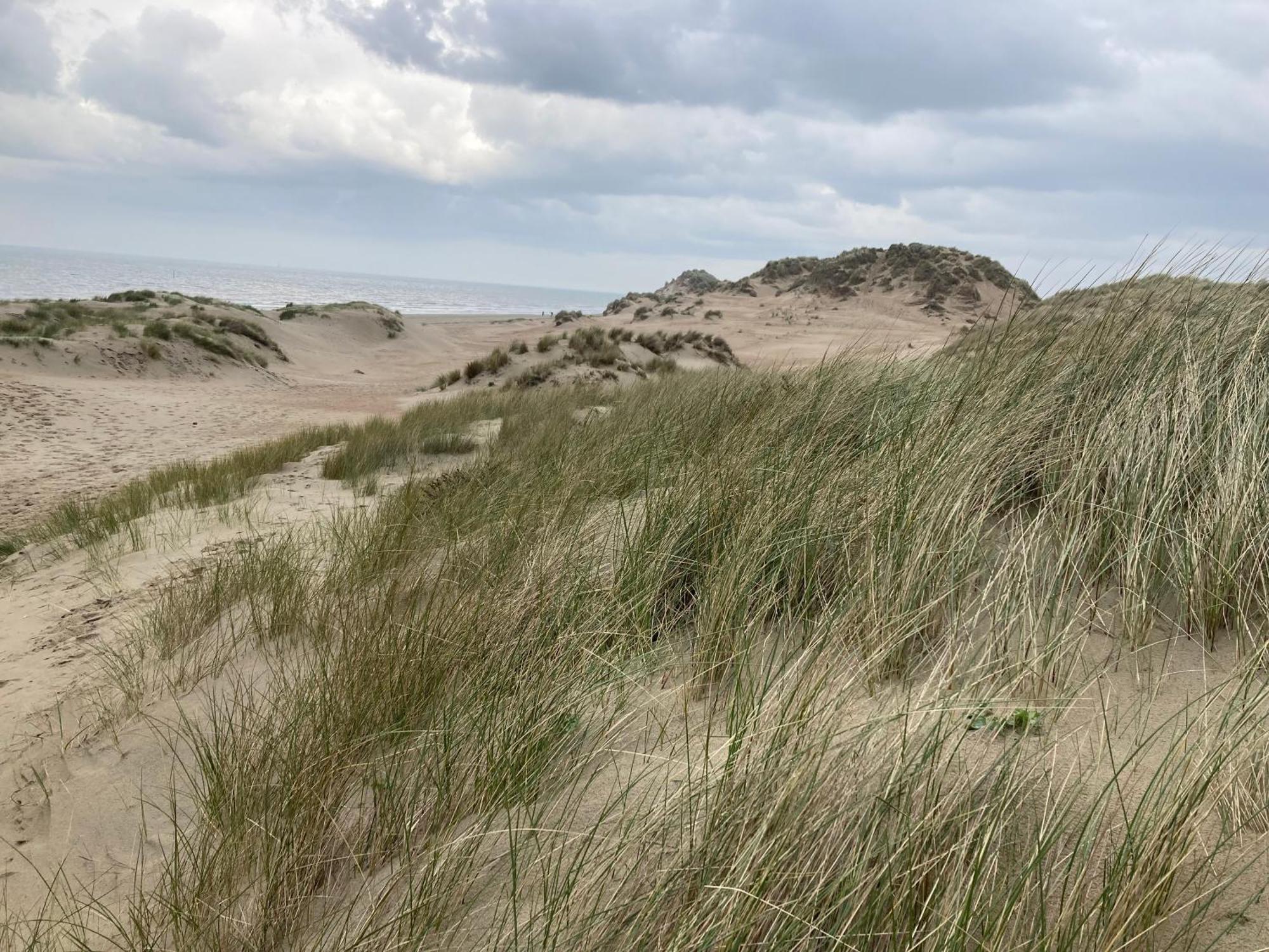 Terduinen Oostduinkerke Exterior foto